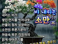 ☔비 내..
