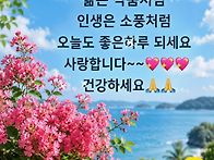 💐행..