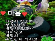 [노년사고(老年四..