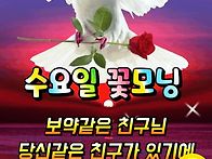 🌹소..