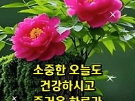 [노후에 &lsquo;이것&rsquo;..