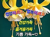 [인생무상 (人生無..
