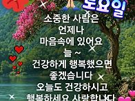 🌻당..