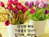 💐진..