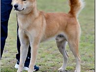 부광이아들견명:부성(수)