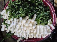 1차 김장햇어요