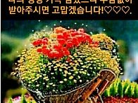 그게 바로 내가 사는 이유