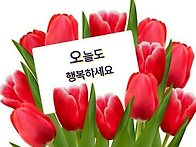 11월 27일 수요일 출석부