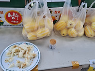 성주참외 신립활동 사진