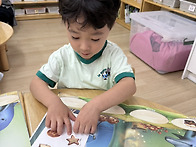 7월 4주-2