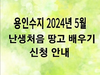 용인수지 5월 ㅡ난생처음 ..