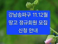 [강남송파구]땅고..