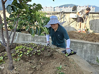 가을맞이 옥상텃밭