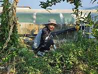 가을맞이 옥상텃밭