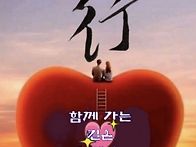 고목나무는 옮겨 ..