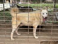 한쌍의 부부 입니다.