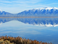 밝고 포근한 겨울..