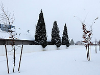 눈 내리는 날의 ..