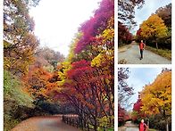 무등산 자락(원효사~중머리..