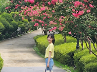 남산 한국숲정원 다녀옴