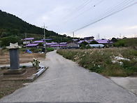 비금도/퍼플섬 7