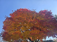 11월15일 인수 쫑바위