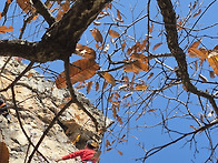 11월16일 조비산 쫑바위