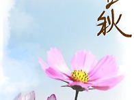 잡화(雜畵) 꾸적꾸..