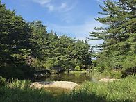 계룡산 수통골지구 화산계..