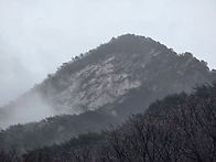 비오는 동학사지구 겨울 ..