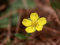 [버스걷기] [26.4.26...