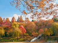 [251122]피피의 포비든앨리..