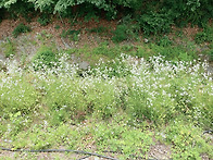 [26.6.14/일] &rdquo;집나오면공..