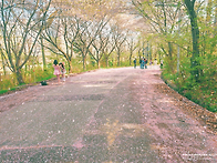 [260418]피피의 포비든앨리..