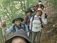 2026.6.28 안산 왕 번개..