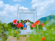 【 ① 자라섬 꽃 페스타 ..