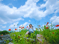 【 ② 자라섬 꽃 페스타 ..