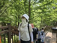  [26.5.17/일] ..