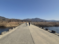 2025.11.29(토) 충주 비..