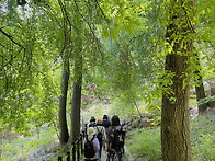 20260425 안산 자락길 (..