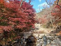 20251111 영취사..