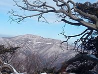 태배산