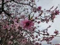 4. 9일. 수요종주