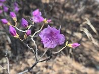 RE:3월28일 / 용궐산하늘길