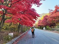 10월31(토)대둔산 단풍산행