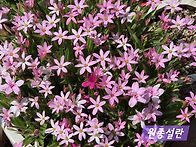 [번개후기] 5월24일 부처..