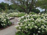 8월16일(일) 합천 황매산 ..