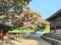 8월2일(일) 군산 옥구향교