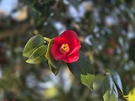 3월28일 / 카페 르무악