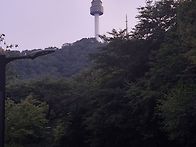 오랜만에 남산